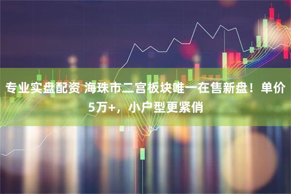 专业实盘配资 海珠市二宫板块唯一在售新盘！单价5万+，小户型更紧俏